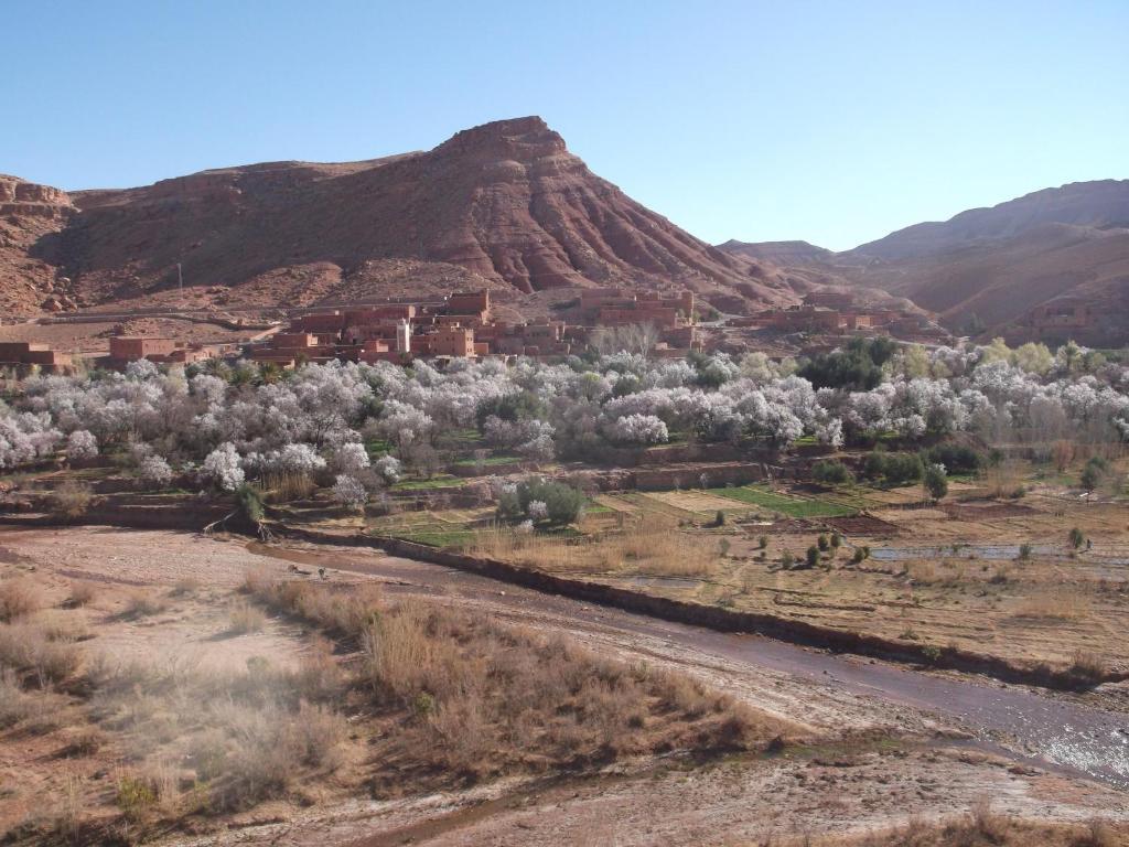 Отель Kasbah Ounila Айт-Бен-Хадду Экстерьер фото